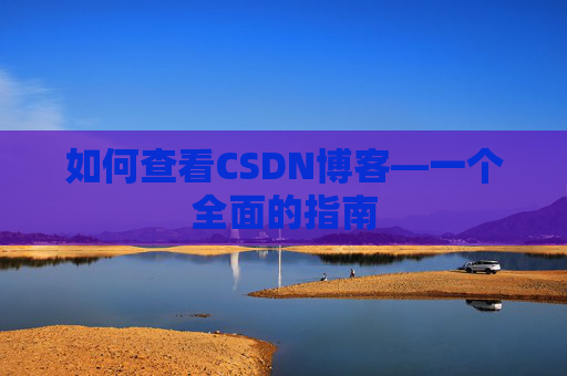 如何查看CSDN博客—一个全面的指南